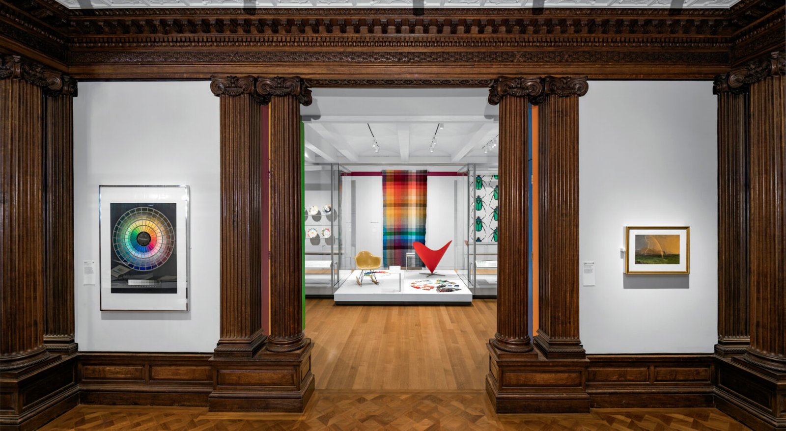 Museum Display Cases