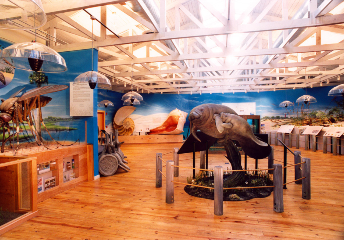 Themed Attraction Design
