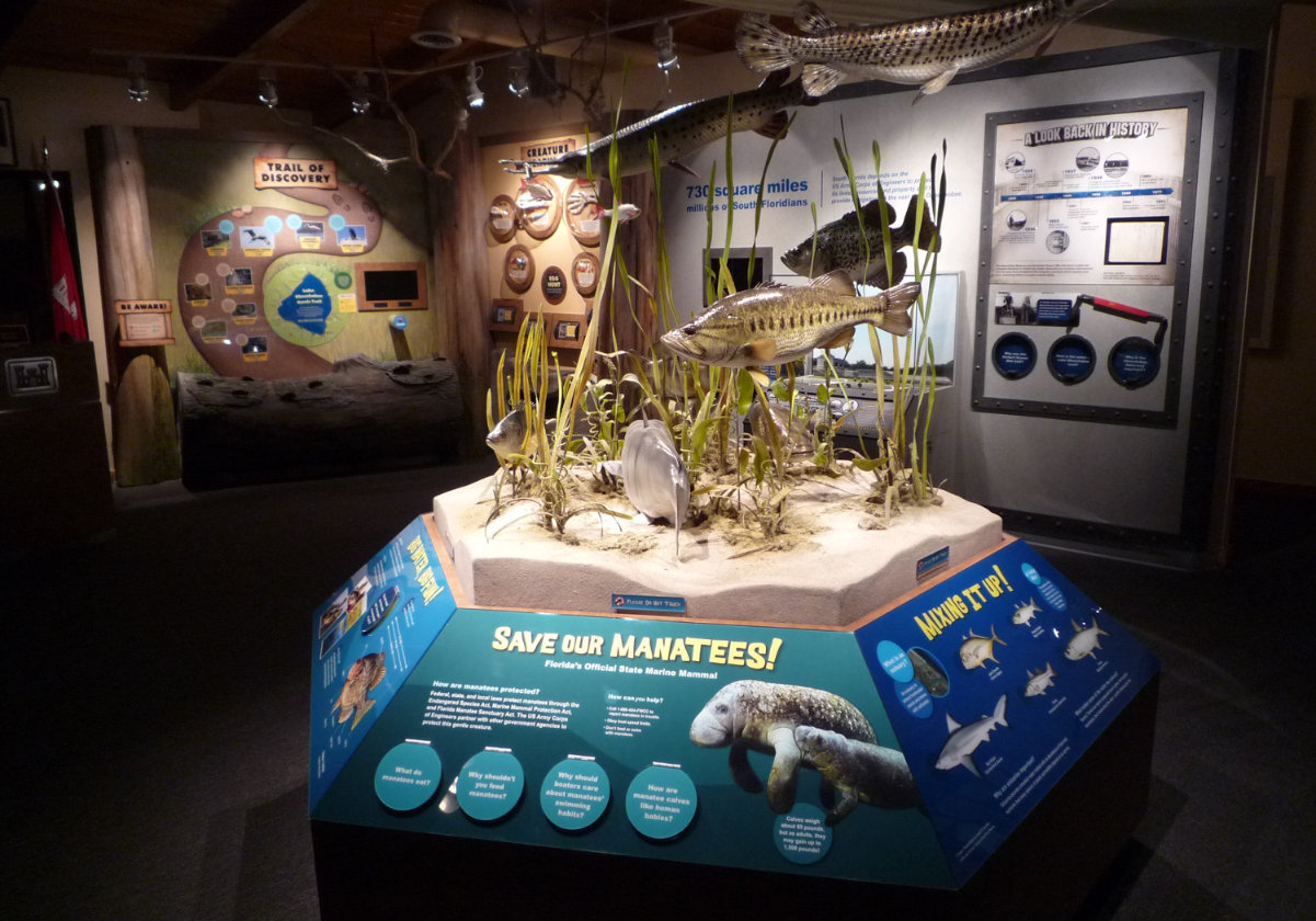Themed Attraction Design